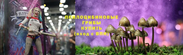 a pvp Арсеньев